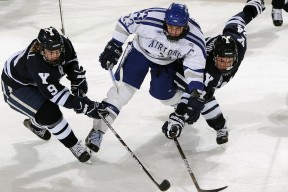 塞尔维亚女篮在欧洲锦标赛中争夺金牌，展示团队实力，塞尔维亚女篮球